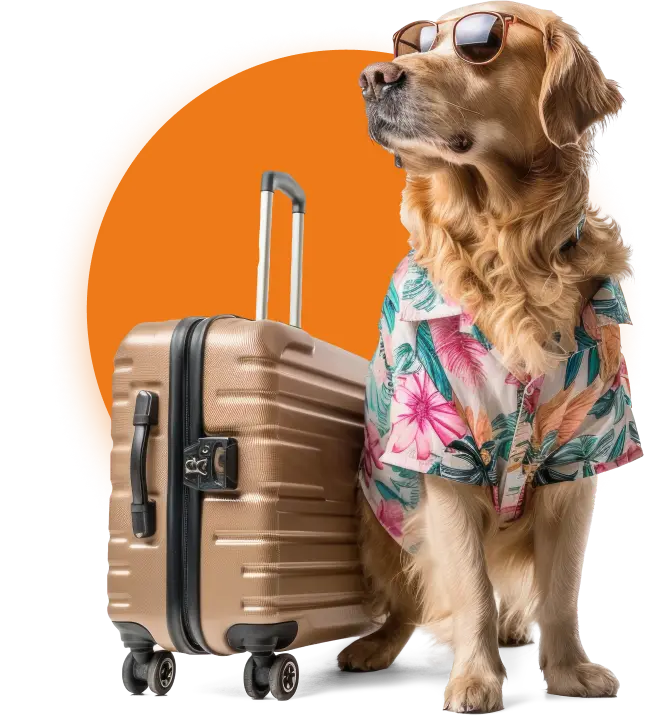 Dog posing next to a suitcase in a Hawaiian shirt with sunglasses